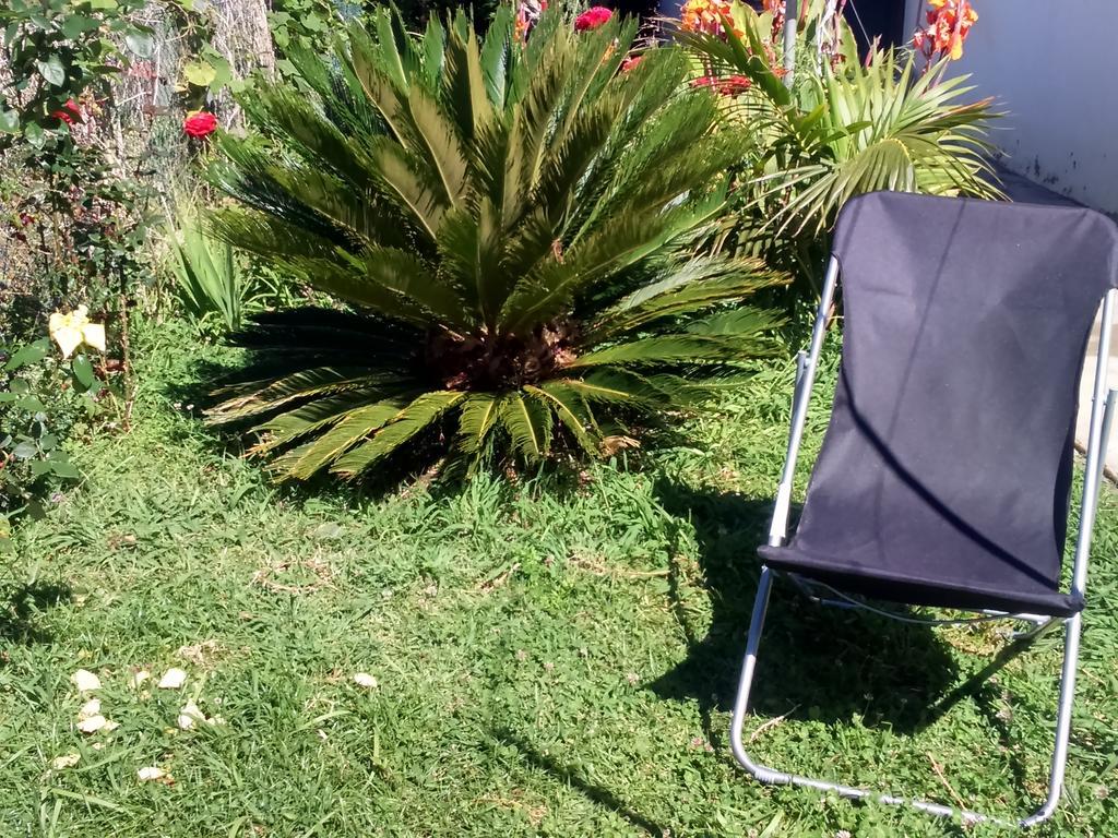 Canto Da Manu Estreito Da Calheta エクステリア 写真